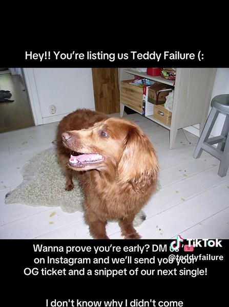 Teddy Failure: Join Us for Exclusive Early Access!