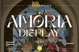 AMORIA Font Display Sans Serif, a Sans Serif Font by Guna Studio