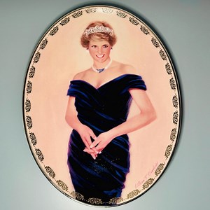 Princess Diana Plate 1998 Bradford Exchange A Very Special Princess - Etsy