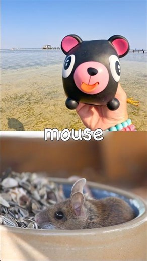 Animal Names for Kids to Learn: Fox Mouse Rhino African Buffalo Cow #HolidaysWithYouTube