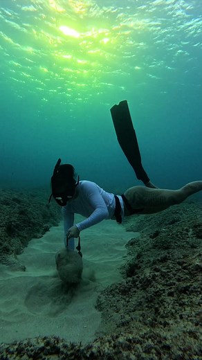 Discovering a Rope Tied to a Rock Underwater