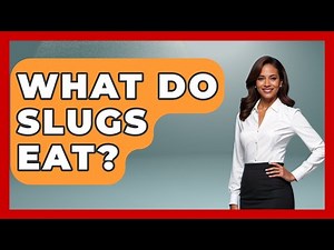 What Do Slugs Eat? - Insects and Invaders