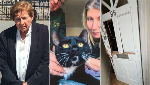 Former human rights lawyer, 79, sues after police ‘chop down door’ to seize her cat