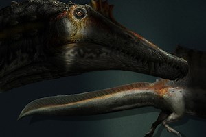 New paper suggests Spinosaurus may have been aquatic