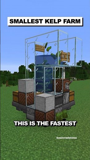 Smallest Kelp Farm for Donut SMP #shorts
