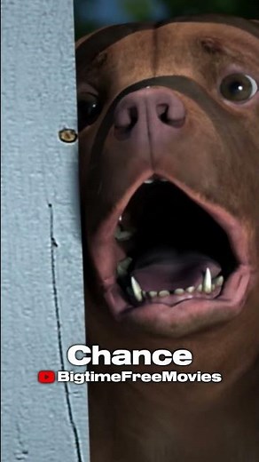 Chance now available on Bigtime - Free Movies!