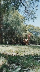 To license this content please click here: https://www.jukinmedia.com/licensing/view/1277125?utm_source=RMsocialpost&utm_medium=RMsocialpost | Jukin Copyright Management | Facebook