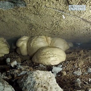 This tool helps lift concrete after long term foundation erosion Via Supportworks | Interesting Engineering