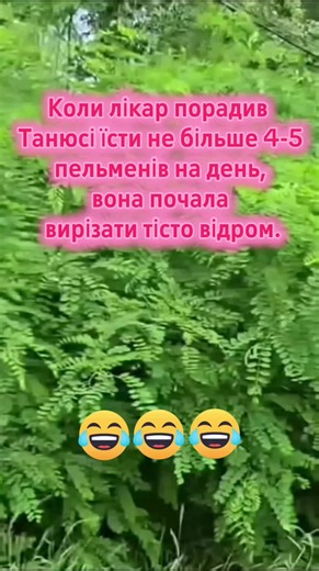 #жарти #життя