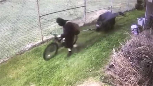 Thieves steal AC units from Newburg Boys and Girls club, causing costly damage