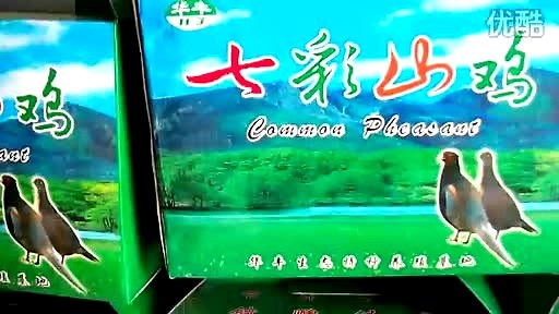 华丰生态特种养殖场