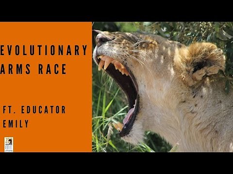 Evolutionary Arms Race