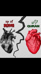 19K views · 1.8K reactions | The most beautiful book in the world is the Quran_Read the Quran. | Islam | Facebook