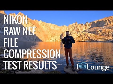 Nikon NEF Raw File Compression Quality Tests