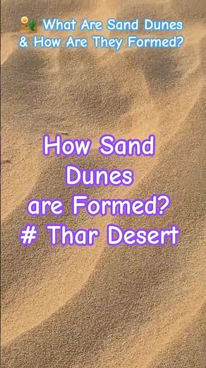 What Are Sand Dunes & How Are They Formed? #desert #thar #thardesert #planmystudy 🏜️