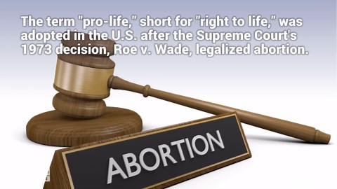 What does 'pro-life' mean?