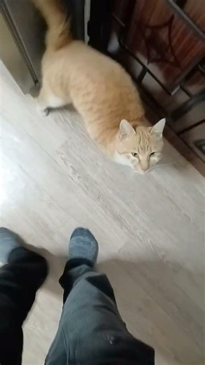 Looks like you're running low on snacks lol