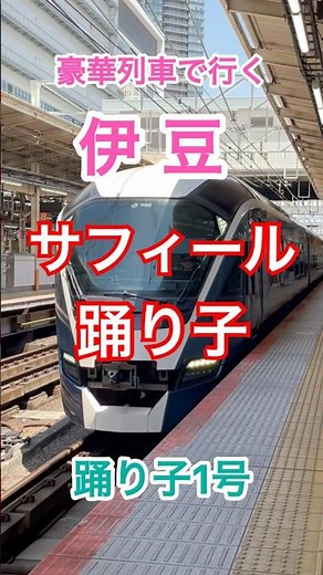 【豪華列車】サフィール踊り子・プレミアムグリーン乗車
