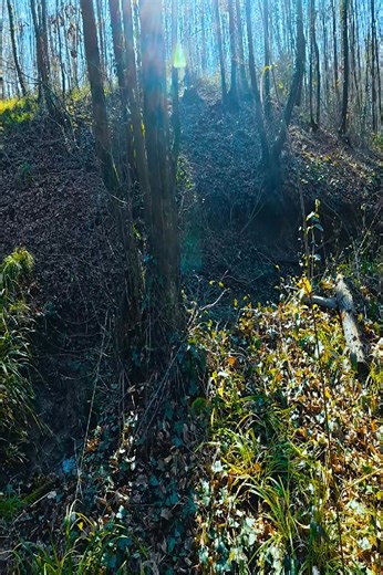 1.1K views | Building a House Over a Stream Bushcraft & Survival Shelter | Solo Survival | Facebook