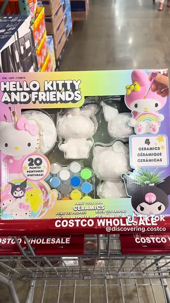 DIY Bluey and Hello Kitty Figurine Kits at Costco