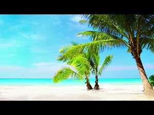 4k UHD Tropical Beach & Palm Trees on a Island, Ocean Sounds, Ocean Waves, White Noise for Sleeping