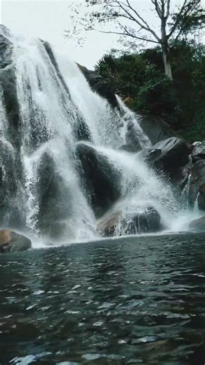 Nature’s Romance | Waterfall Couple Moments 💕 #ytshorts #shorts #viral #viralvideo #trending