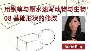 用钢笔与墨水速写动物与生物 08 基础形状的修改