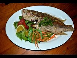 Truckstop ... the ideal resting place