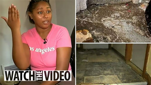 I'm a single mom - I'm being evicted for complaining about dangerous conditions