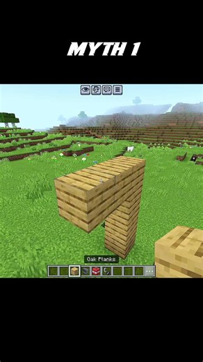 Minecraft myths Part 1 #minecraft #shorts