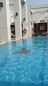 Summer enjoying | Daily Vlogging