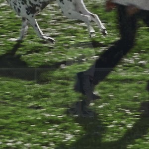 Givenchy's latest capsule collection in its long-term collaboration with Disney features characters from the animated film One Hundred and One Dalmatians. Covetable, collectible pieces for women and men span ready-to-wear, bags, shoes, small leather accessories and fashion jewelry. | Givenchy