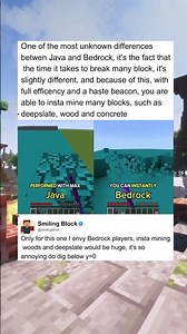 Java vs Bedrock #minecraft