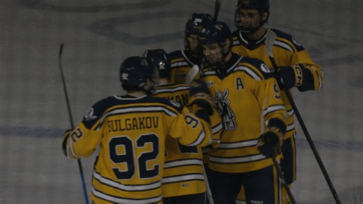 Augustana earns split with Bowling Green in 4-2 win
