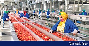 Pran adopts aseptic processing for tomato pulp export