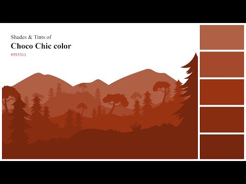Shades & Tints of Choco Chic color #993311 A Warm Brown color | #882d0f | #77270d | #a4492b #af6045