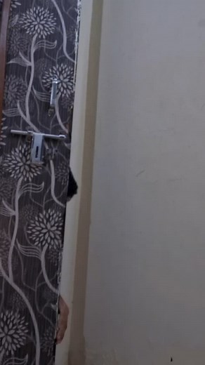 544K views · 807 reactions | OTP Generator using Javascript -----------tags------------ #htmlcss #webdevelopment #frontend #html #css #javascript #coding #htmltricks #cssanimations #csstricks #javascripttricks | Yash Bhardwaj | Facebook