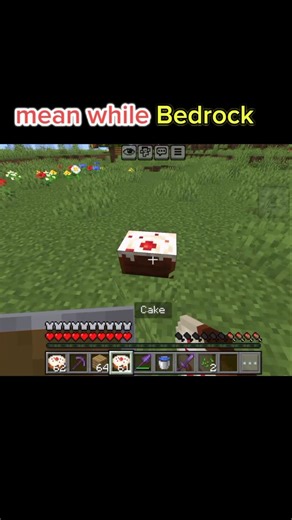 Minecraft bedrock vs Java edition #minecraft #secondvideo
