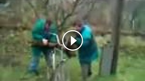 Vtipné bláznivé humorné videá mix