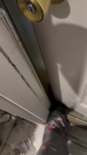 My Cat's Hilarious Reaction When I Got Home