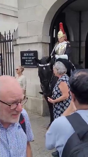 stand back from the Queen's life guard do not touch the reins #horseguardsparade