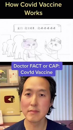 FACT or CAP: Covid Vaccine