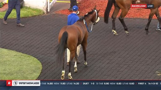 Over 900 winners together for @moodyracingpgm & Luke Nolen🤝 Here's to many more to come 🌟 | Racing.com