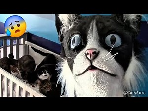 Cat Getting Scared Of Cat Masks And Snakes 2025🤣☠️