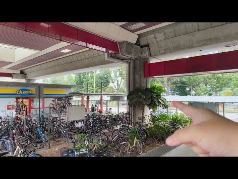 How To Get To | 190 Jurong East Ave 1 From Chinese Garden MRT Station East West Line