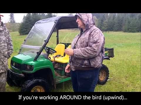 Starting Dogs on Upland Work: Bird Domination and The Check Cord