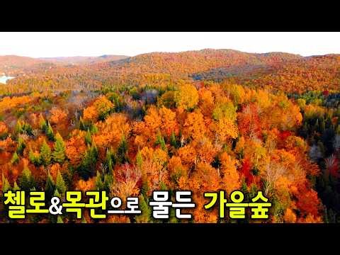 🍁Soothing Autumn Classical Music | Gentle Morning Classical Playlist