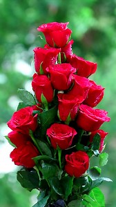 167K views · 14K reactions | Rose bouquets | Roses | Facebook