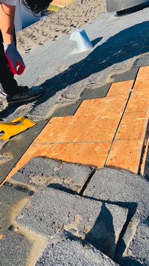 Ever wonder what's lurking under your old shingles? This is the removal process, and it's essential. We do a full tear-off on every job to inspect the decking underneath for rot or damage. You can't build a new roof on an old, failing foundation. This is what getting a clean slate looks like. Satisfying, right? Time to get rid of your old roof? Call us for a free inspection! 📞 (403) 879-8988 📧 info@trueflight.ca 🌐www.trueflight.ca | TrueFlight Roofing & Exteriors Ltd.