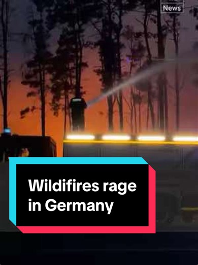 Firefighters Battle Wildfires in Eastern Germany